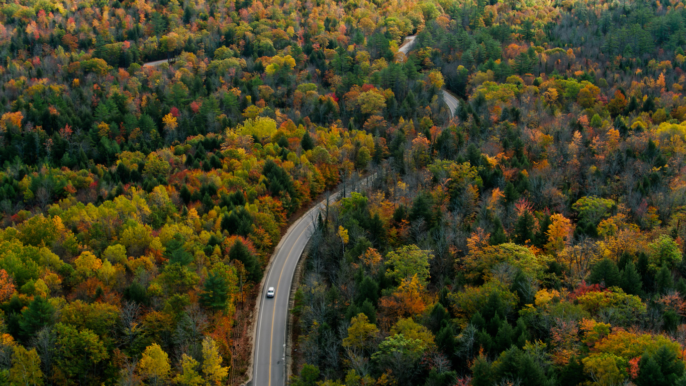 2025年と2026年の日米欧の金融政策の見通しは?