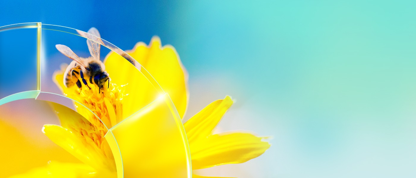 AEM banner_SG Equities_bee_1400z600