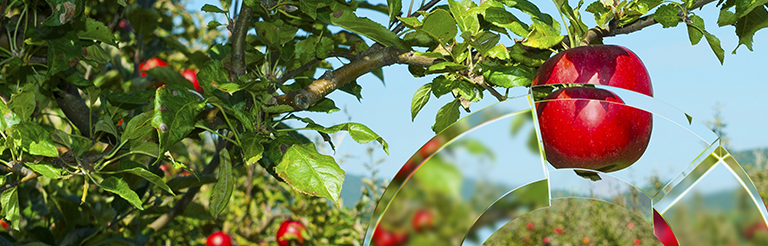 53890_GIF_lens_smallbanner