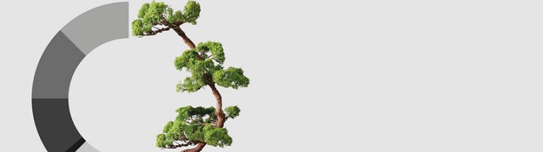 bonsai-tree-banner