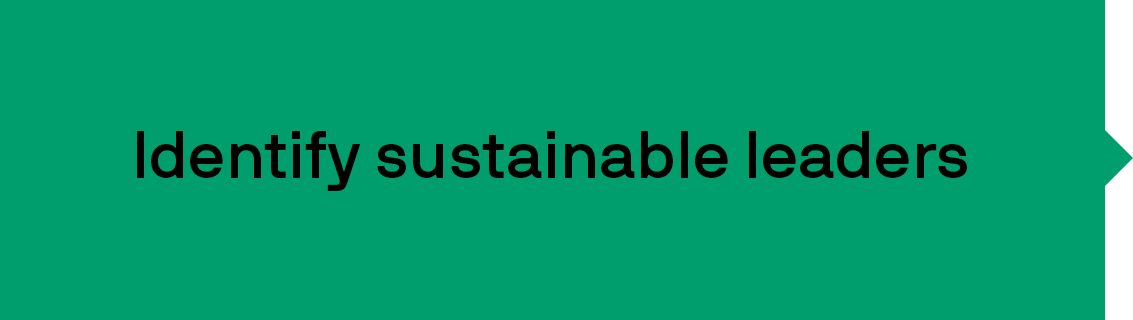 sustainable-equity-image3
