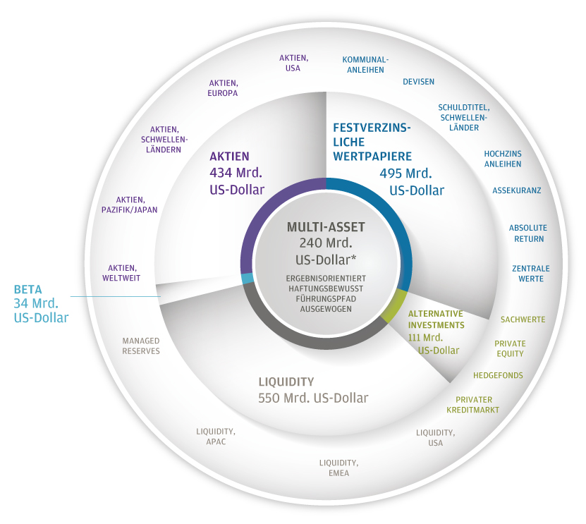 JP Morgan capabilities chart DE