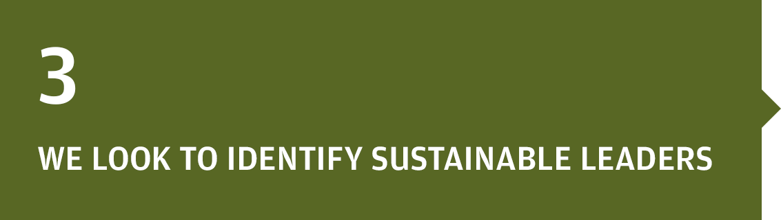 sustainable-equity-image1