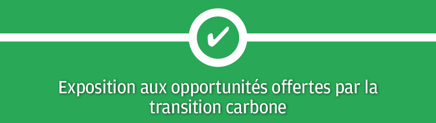 ticker-carbon-transition-strategy-3