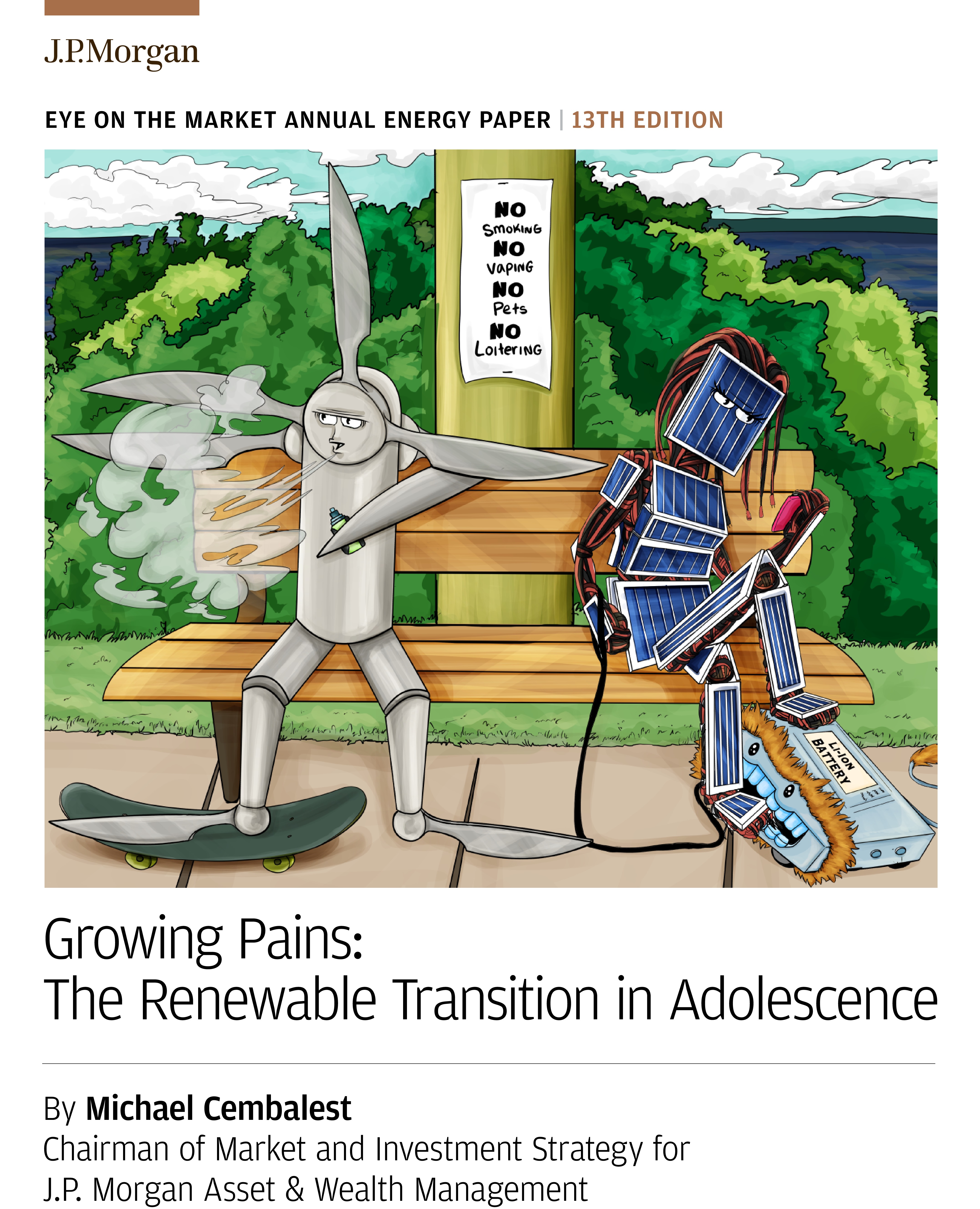 Growing Pains: Renewable Transition in Adolescence