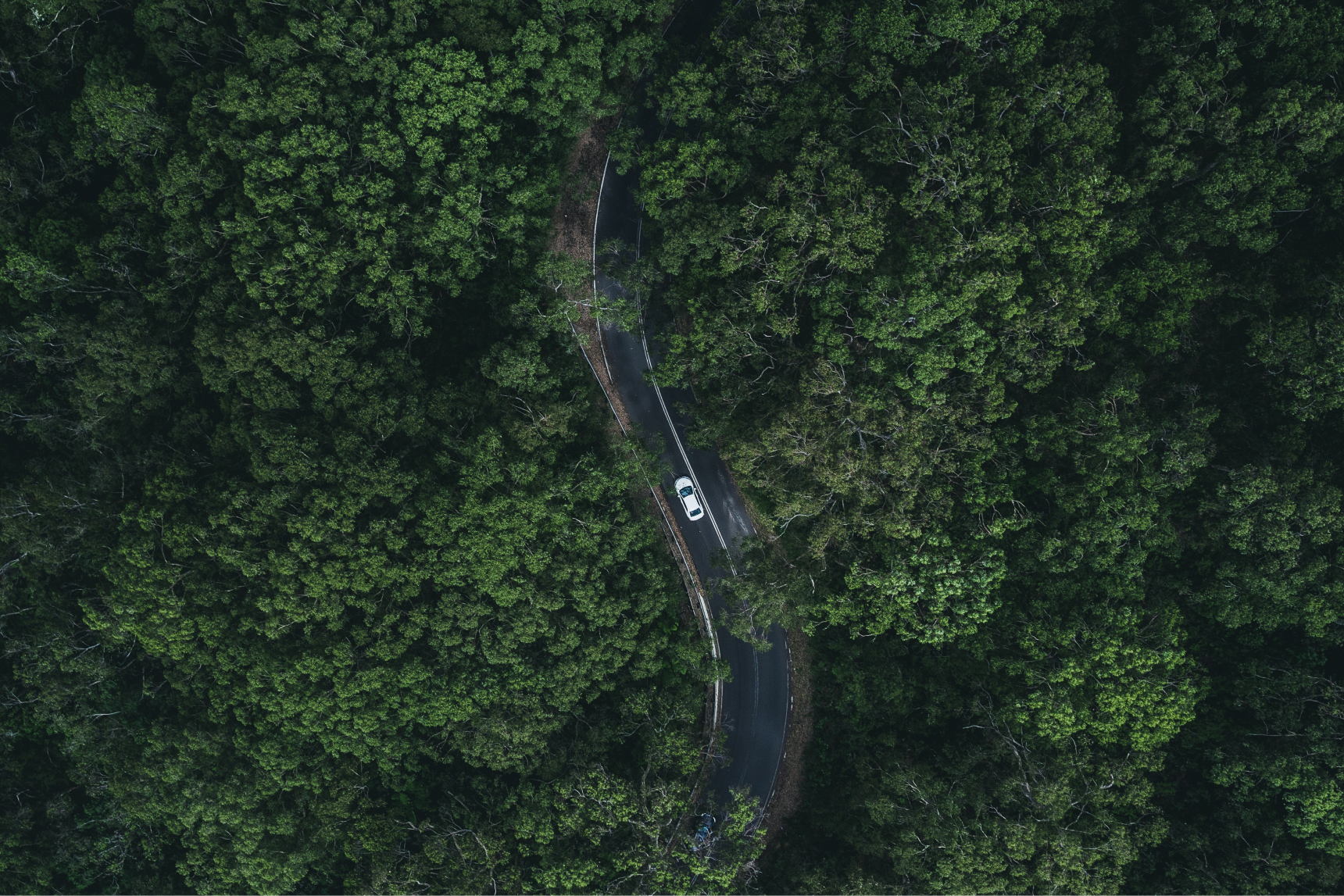 A single car driving through a winding road in a forest
