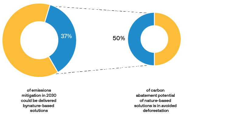 Pie charts showing the link between climate change and biodiversity