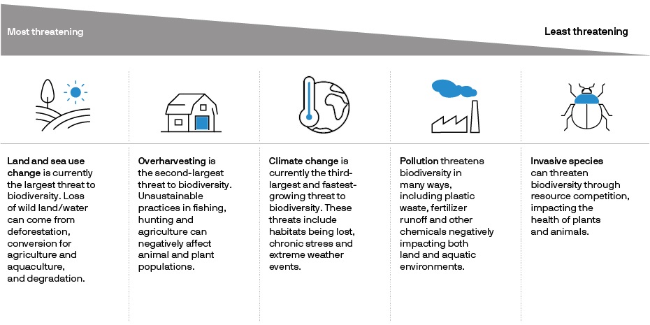 A table shows main threats to biodiversity, ranked by severity. From most threatening: land and sea use; overharvesting; climate change, pollution and invasive species.