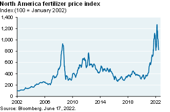 Line chart shows the North America fertilizer price index from 2002 to 2022. Levels have come down from all-time highs of almost 1,300, and are now around 800 