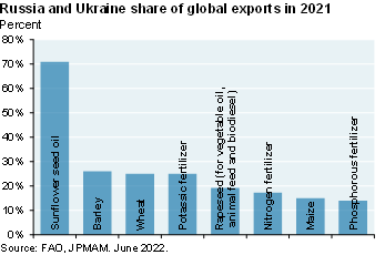 Bar chart shows Russia and Ukraine’s share of global exports in 2021. Russia and Ukraine typically account for 15-20% of global fertilizer exports 