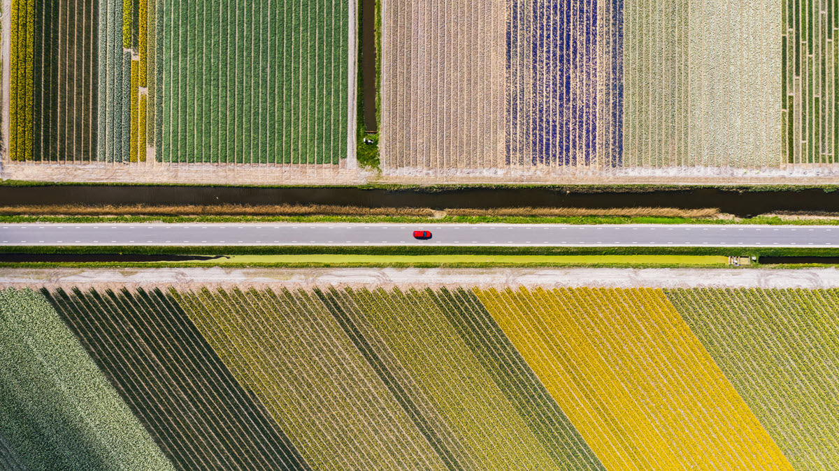 lights of traffic in a city