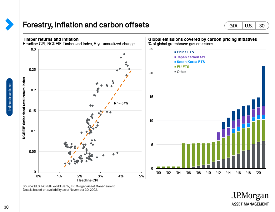 Forestry, inflation and carbon offsets