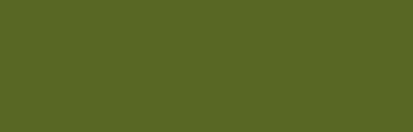 equities-olive-green