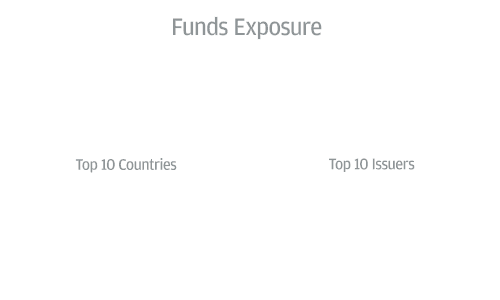 Funds Exposure - Top 10 Countries vs  Top 10 Issuers